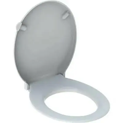 Vedd meg most Geberit Selnova Comfort WC ülőke tetővel, akadálymentes, rozsdamentes acél zsanér (501.559.01.1)