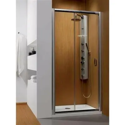 Radaway Premium Plus DWJ 100 zuhanyajtó, 1000x1900, fabrik (33303-01-06N) Végkiárusítás