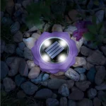 Outlet LED-es leszúrható szolár lámpa - lila - hidegfehér - 11,5 x 2,3 cm