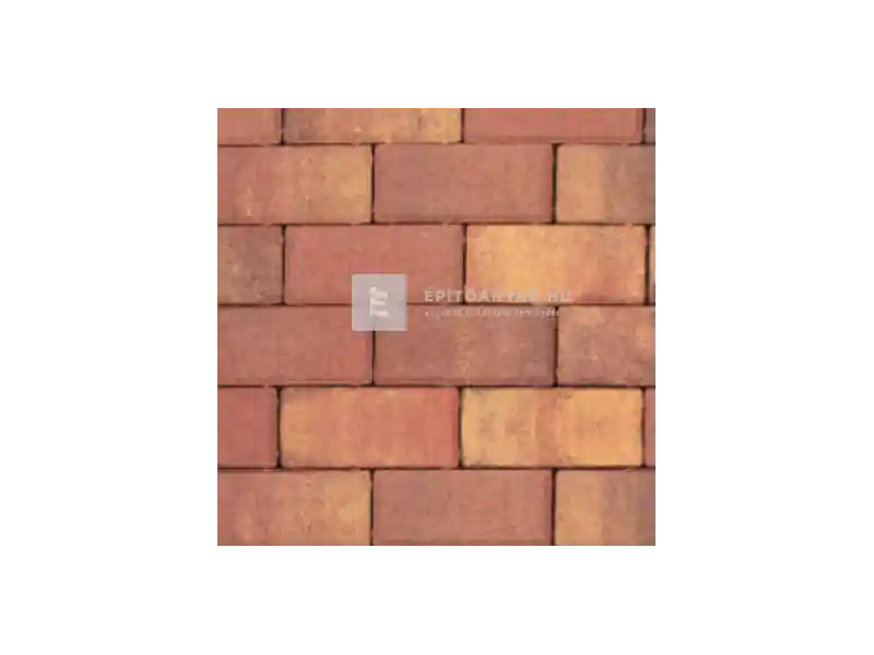 Leier Piazza térkő őszilomb 10x20x6 cm Szuper ajánlat