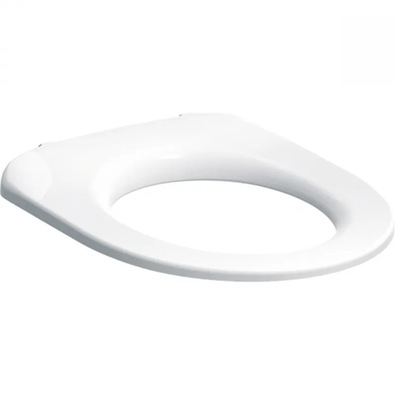 Azonnali szállítás Geberit Selnova Comfort WC-ülőkarima, rozsdamentes acél zsanér, rögzítés alulról 500.340.01.1Geberit