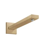 Hansgrohe - Accessories - Zuhanyfej kar - 27694140 Legnépszerűbb