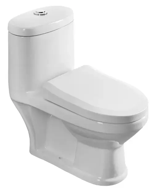 Legkelendőbb Aqualine - Kombi-WC - PT520