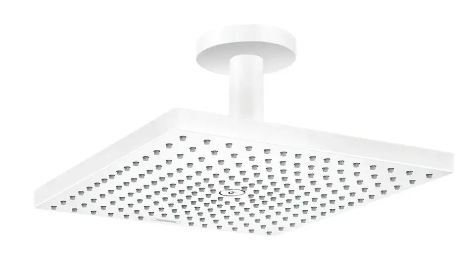 Utolsó esély Hansgrohe - Raindance E - Fejzuhany - 26251700